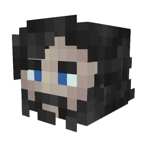 Ritchi123 Minecraft avatar head, 3D render