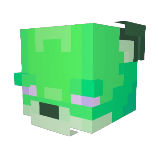 Ritfoxgames13 Minecraft avatar head, 3D render