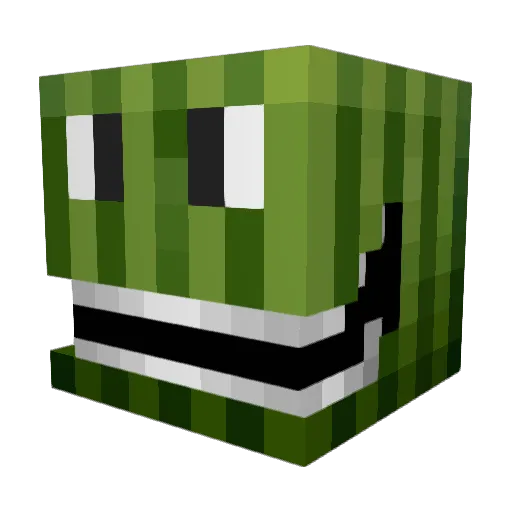 Ritis10 Minecraft avatar head, 3D render