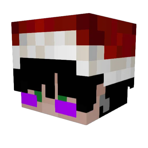 Ritixkk_ Minecraft avatar head, 3D render