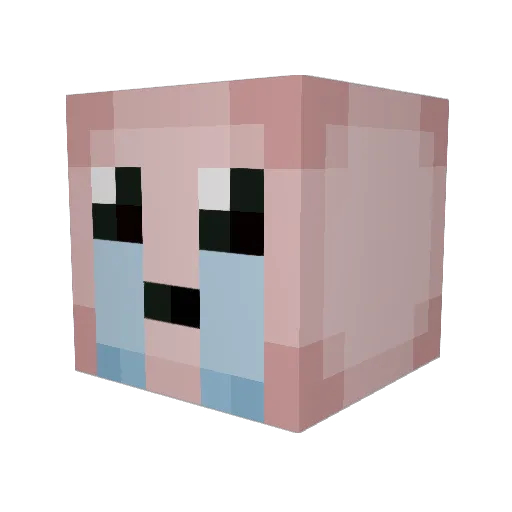 Ritjer Minecraft avatar head, 3D render