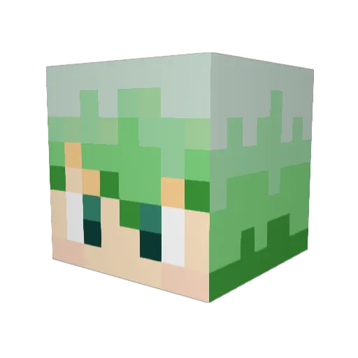 Rito209 Minecraft avatar head, 3D render
