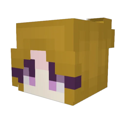 Rits_U Minecraft avatar head, 3D render