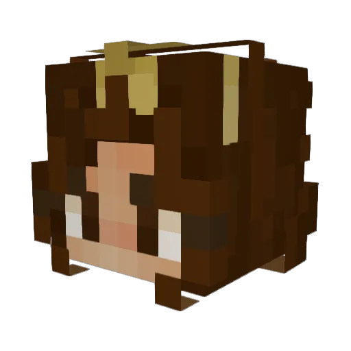 Ritssey Minecraft avatar head, 3D render