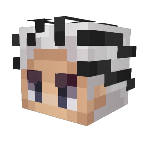 Ritsuzs Minecraft avatar head, 3D render