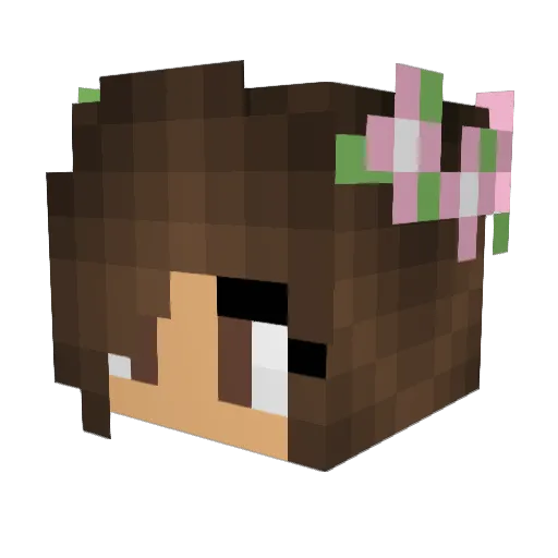 Rituxa Minecraft avatar head, 3D render