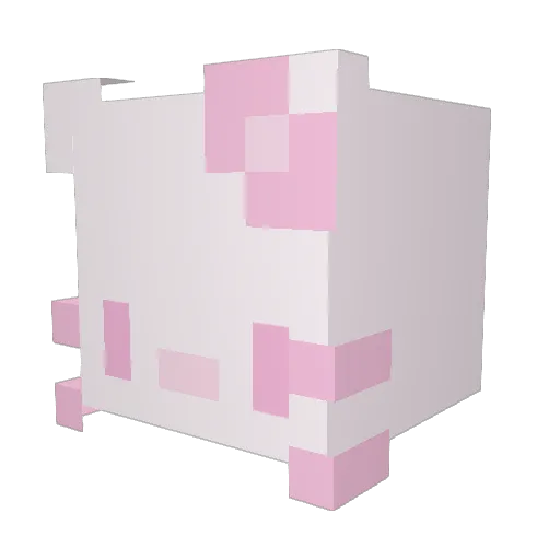 Ritzsuh Minecraft avatar head, 3D render