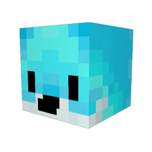 RitzyTube Minecraft avatar head, 3D render
