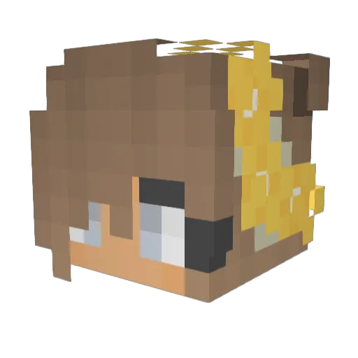 Riv668 Minecraft avatar head, 3D render