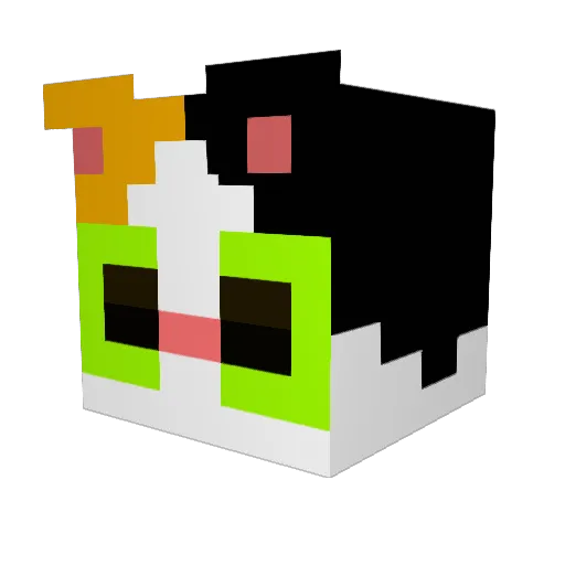 Rivairinho Minecraft avatar head, 3D render