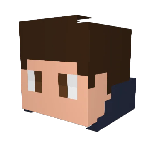 RivalCoin Minecraft avatar head, 3D render