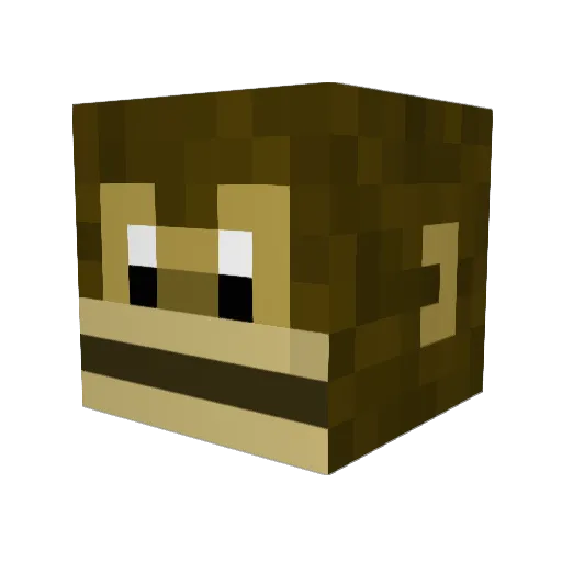 RivalYourIdol Minecraft avatar head, 3D render