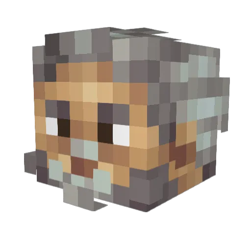 Rivellion Minecraft avatar head, 3D render