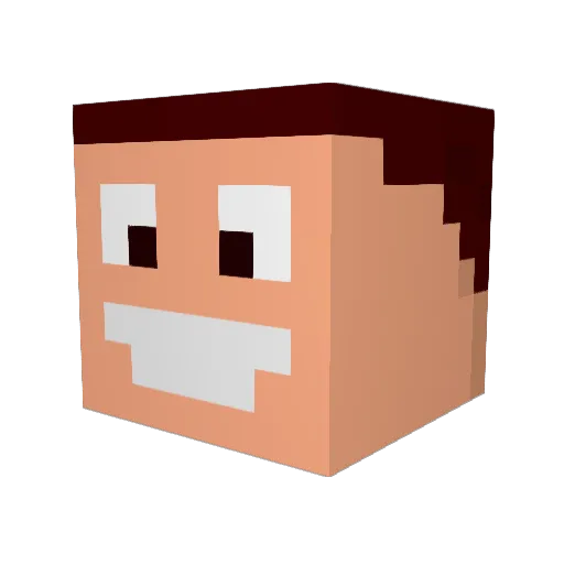 Riven14 Minecraft avatar head, 3D render