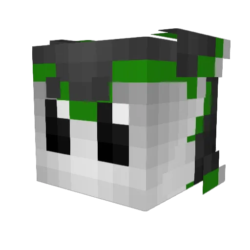 Rivengeee Minecraft avatar head, 3D render
