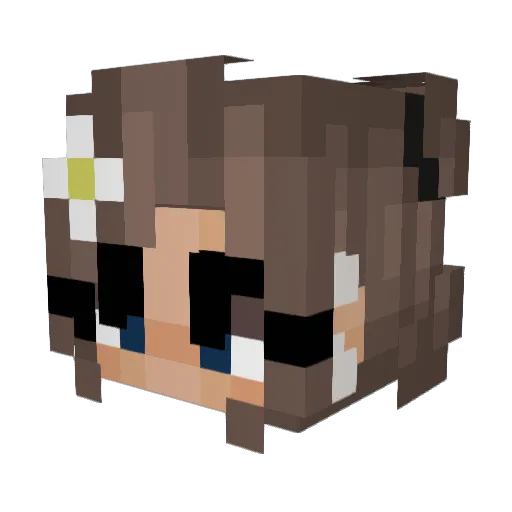 River172007 Minecraft avatar head, 3D render