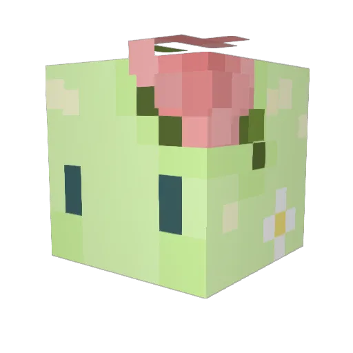River2204 Minecraft avatar head, 3D render
