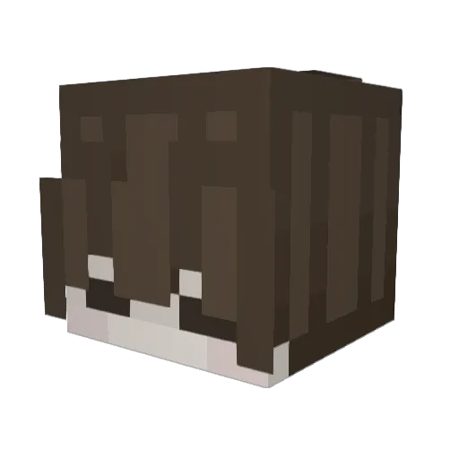 RiverBoBiver Minecraft avatar head, 3D render