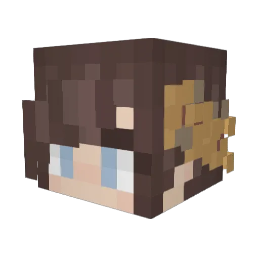 RiverCellar6011 Minecraft avatar head, 3D render