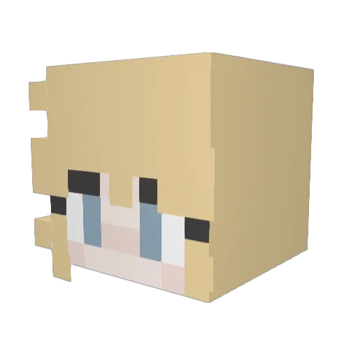 RiverElixir Minecraft avatar head, 3D render
