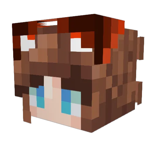 RiverFoxy Minecraft avatar head, 3D render
