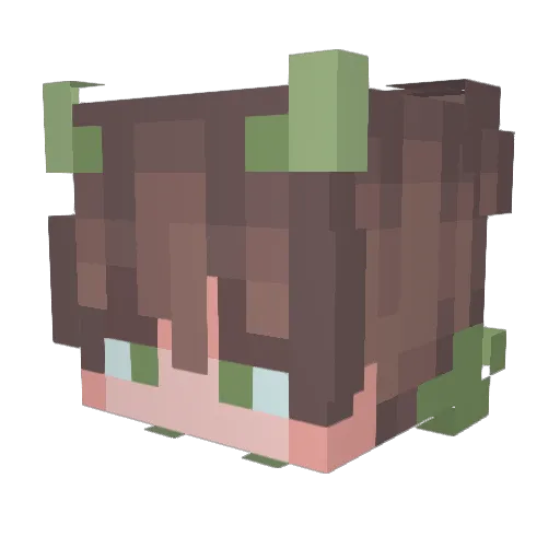 RiverLIVE Minecraft avatar head, 3D render
