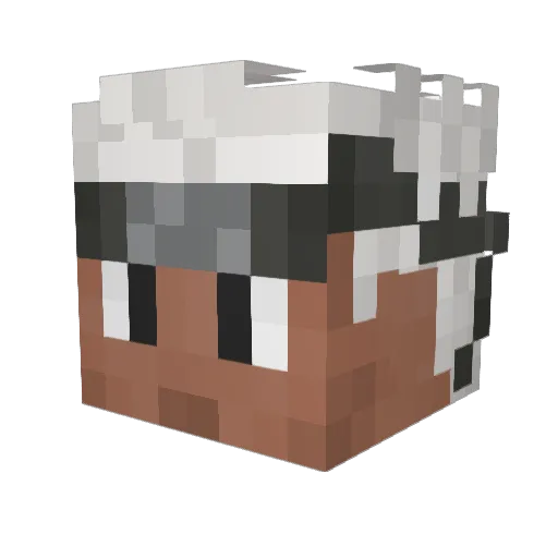 RiverOpossum669 Minecraft avatar head, 3D render