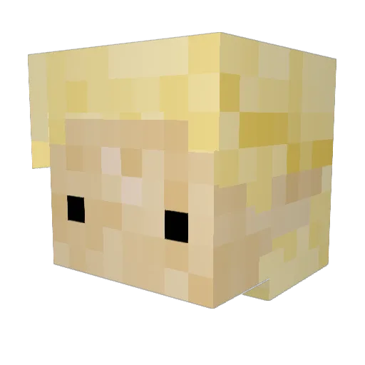RiverWater15556 Minecraft avatar head, 3D render