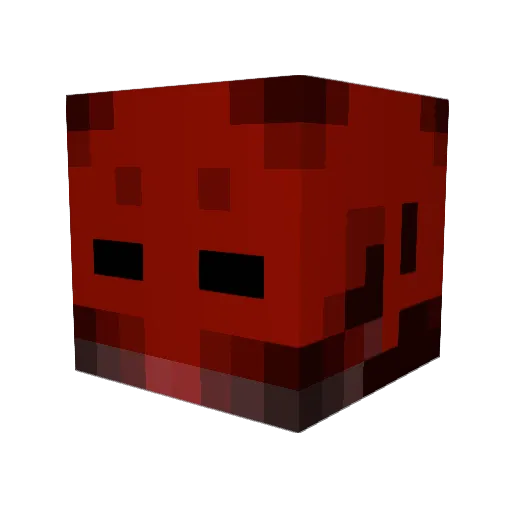 River_Victory Minecraft avatar head, 3D render