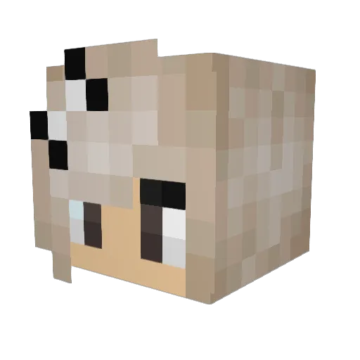 Rivera457 Minecraft avatar head, 3D render