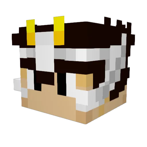 Rivera502 Minecraft avatar head, 3D render