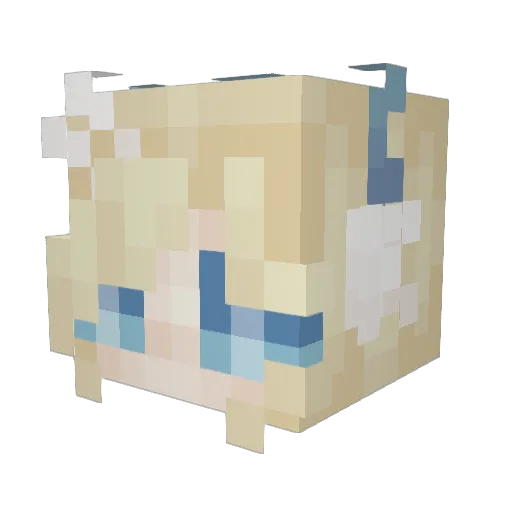 Riverdog2013 Minecraft avatar head, 3D render
