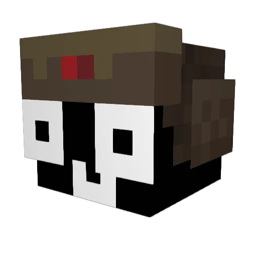 Riverjohnny Minecraft avatar head, 3D render