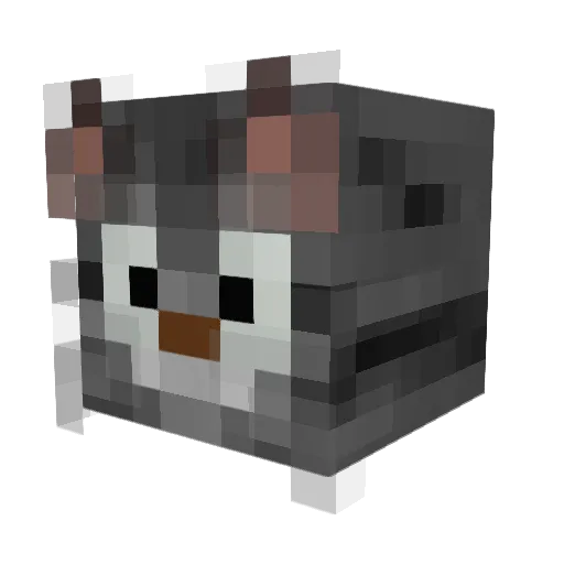 Rivers0308 Minecraft avatar head, 3D render