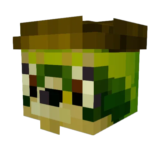 RiversAnim Minecraft avatar head, 3D render