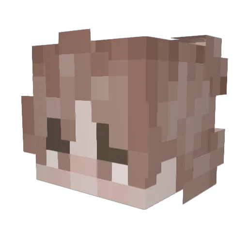 Riversale Minecraft avatar head, 3D render