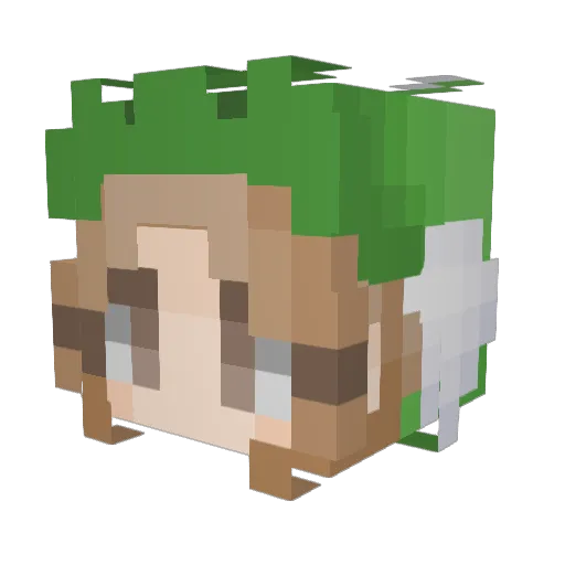 Riversgg Minecraft avatar head, 3D render