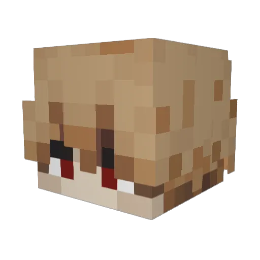 Rivershark213 Minecraft avatar head, 3D render