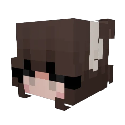 Riversuu Minecraft avatar head, 3D render