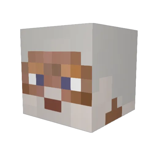 Riverward2012 Minecraft avatar head, 3D render