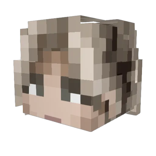 Rivesh Minecraft avatar head, 3D render