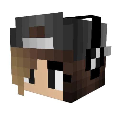 Rivienne Minecraft avatar head, 3D render