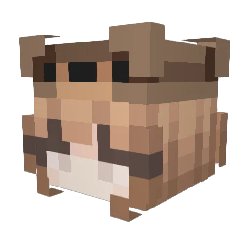 Rivkah_sim Minecraft avatar head, 3D render