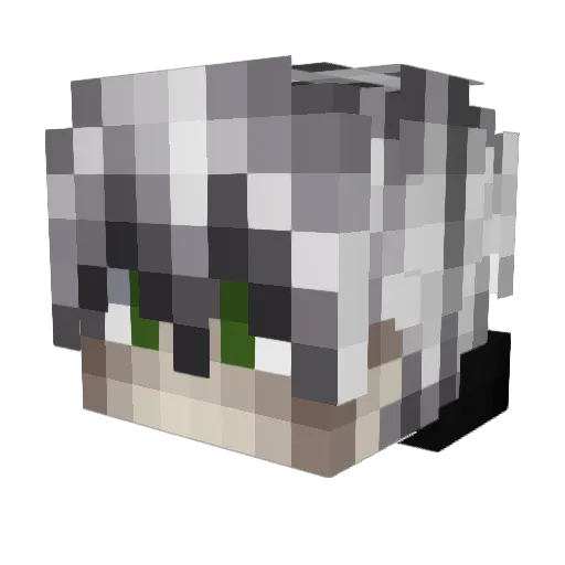 Rivnes Minecraft avatar head, 3D render