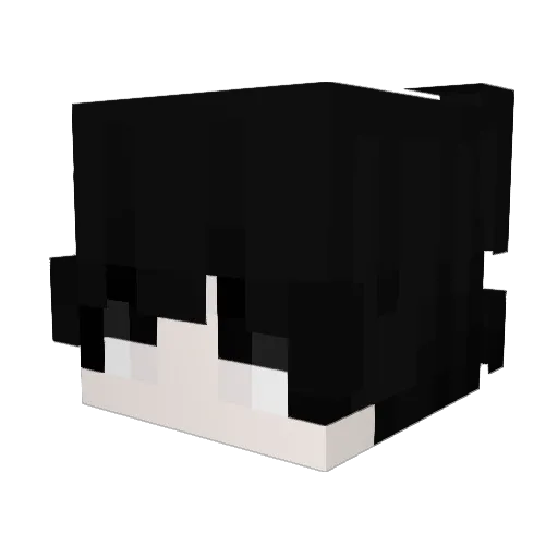 Riwx_22 Minecraft avatar head, 3D render