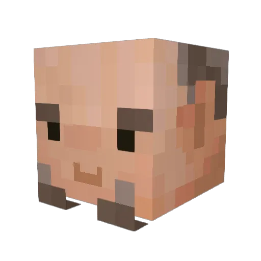 RixFlixYT Minecraft avatar head, 3D render