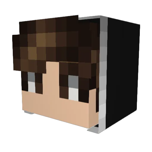 Rix_SG Minecraft avatar head, 3D render