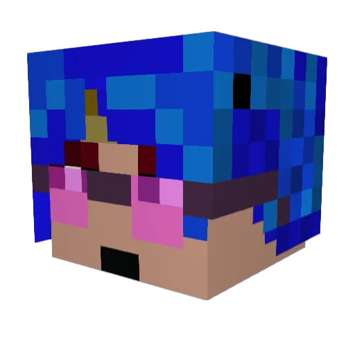 Rix_TamaRix Minecraft avatar head, 3D render