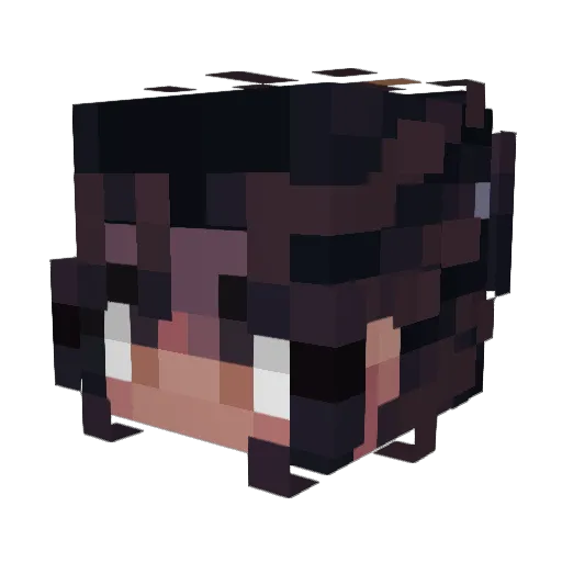 Rixan_ Minecraft avatar head, 3D render