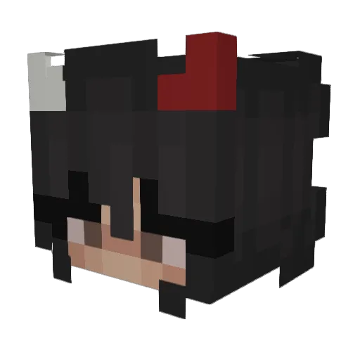 Rixjuh Minecraft avatar head, 3D render